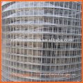 Welded Wire Mesh/Stainless Steel Welded Wire Mesh/Panel Wire Mesh